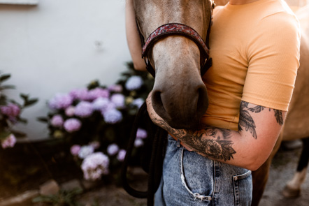 Pferdeshooting im Sommer